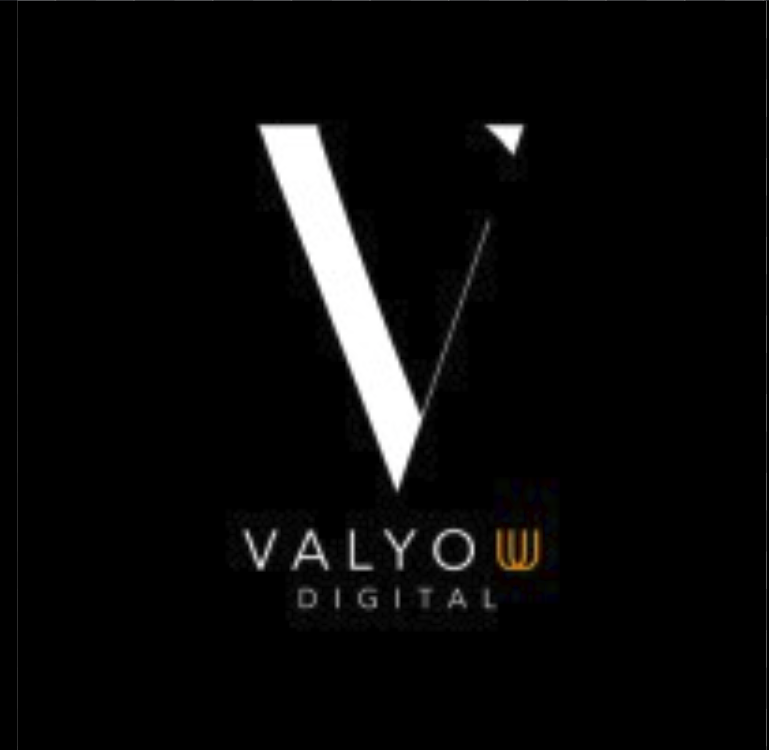 CEO, Valyouu Digital.
